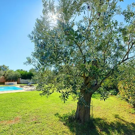 Fuer 4 Personen Ca 35 Qm In Banjole, Istrien Istrische Riviera Banjole